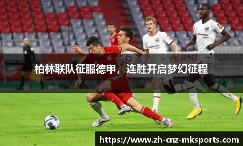 mk体育