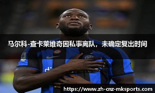 马尔科-查卡莱维奇因私事离队，未确定复出时间