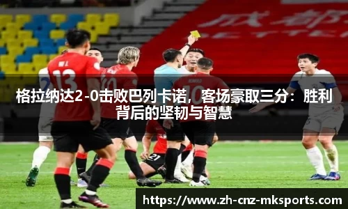 格拉纳达2-0击败巴列卡诺，客场豪取三分：胜利背后的坚韧与智慧